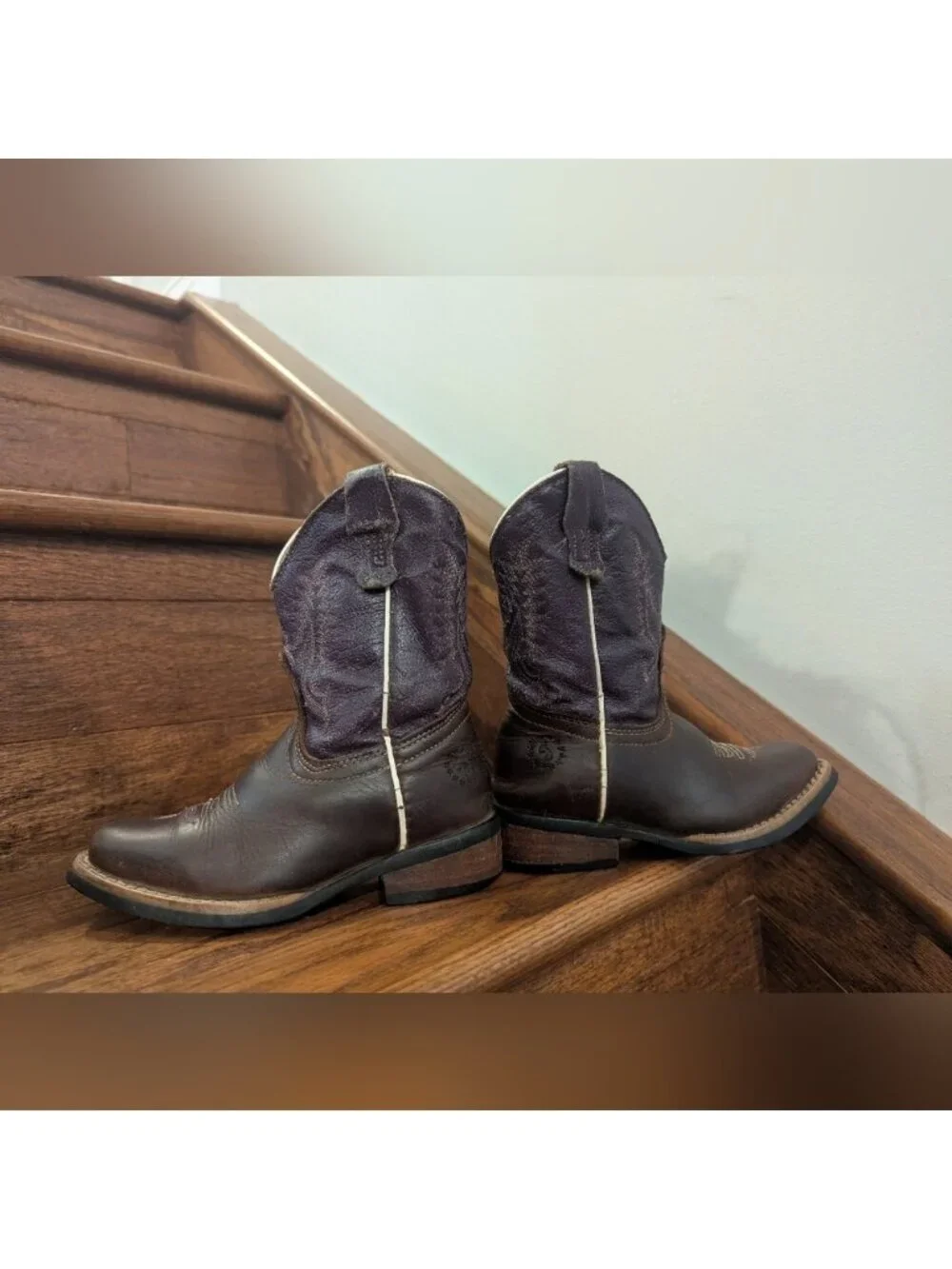 Cowgirl Boots Caballo Dorado Western boots Kids Sz 10 purple & brown leather